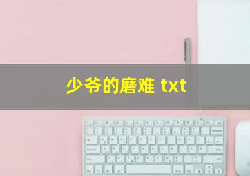 少爷的磨难 txt